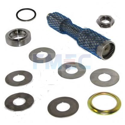 OEM 681621 680374 DAF King Pin kit