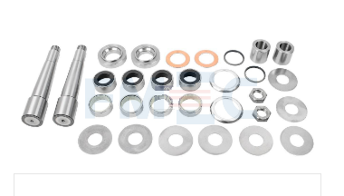 OEM 683499 DAF King Pin Kit