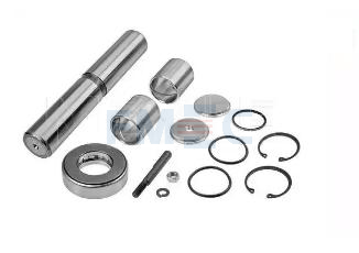 OEM 3605860033 3603300619 BENZ King Pin Kit