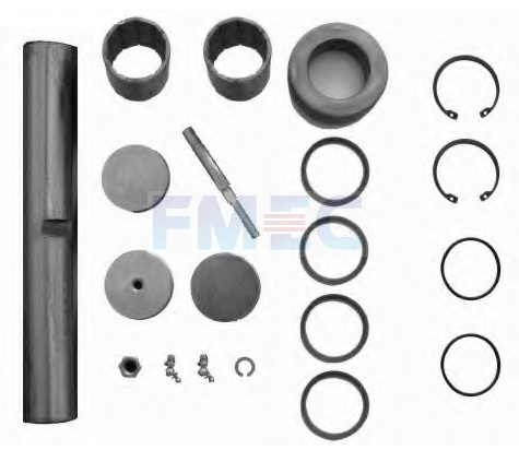 OEM 5000793849 5000737903 RENAULT King Pin kit