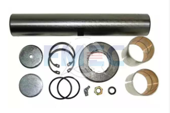 OEM 5000794320 RENAULT King Pin kit