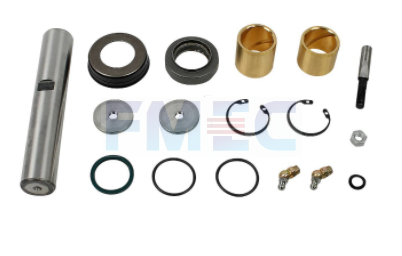 OEM 5000793641 RENAULT King Pin kit