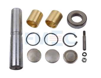 OEM 3023300619 3025860033 BENZ King Pin Kit